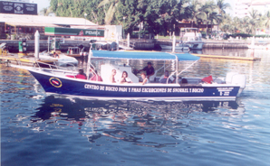 twin dolphins dive boat